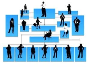 Division of Work | Enhancing Productivity and Efficiency